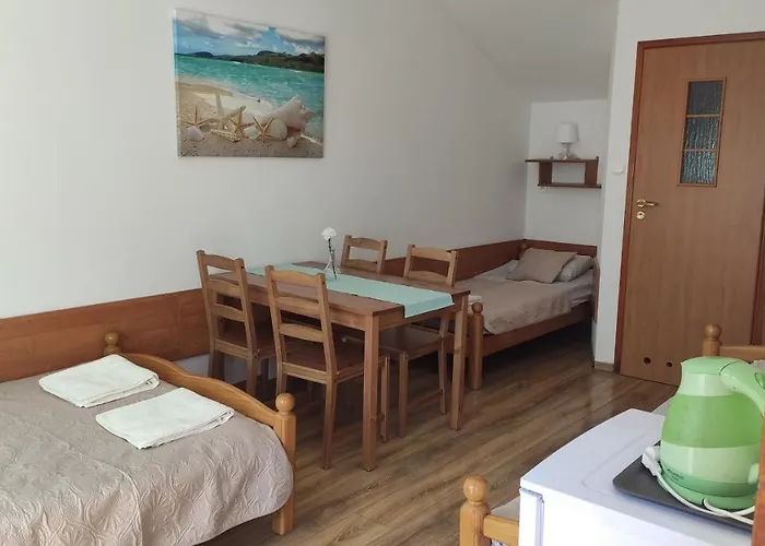 Goscinne U Marcina- Sala Zabaw, Basen, Melex, Rowery, Grill, Mini Dmuchaniec