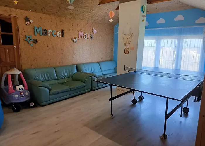 Goscinne U Marcina- Sala Zabaw, Basen, Melex, Rowery, Grill, Mini Dmuchaniec 民宿 奥斯特罗沃