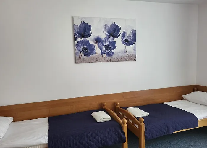 民宿 Goscinne U Marcina- Sala Zabaw, Basen, Melex, Rowery, Grill, Mini Dmuchaniec *