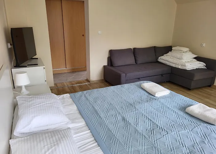 民宿 Goscinne U Marcina- Sala Zabaw, Basen, Melex, Rowery, Grill, Mini Dmuchaniec 奥斯特罗沃