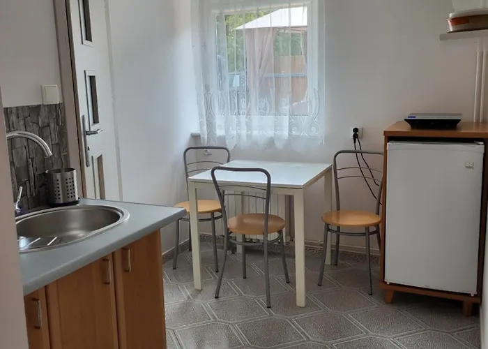 民宿 Goscinne U Marcina- Sala Zabaw, Basen, Melex, Rowery, Grill, Mini Dmuchaniec 奥斯特罗沃